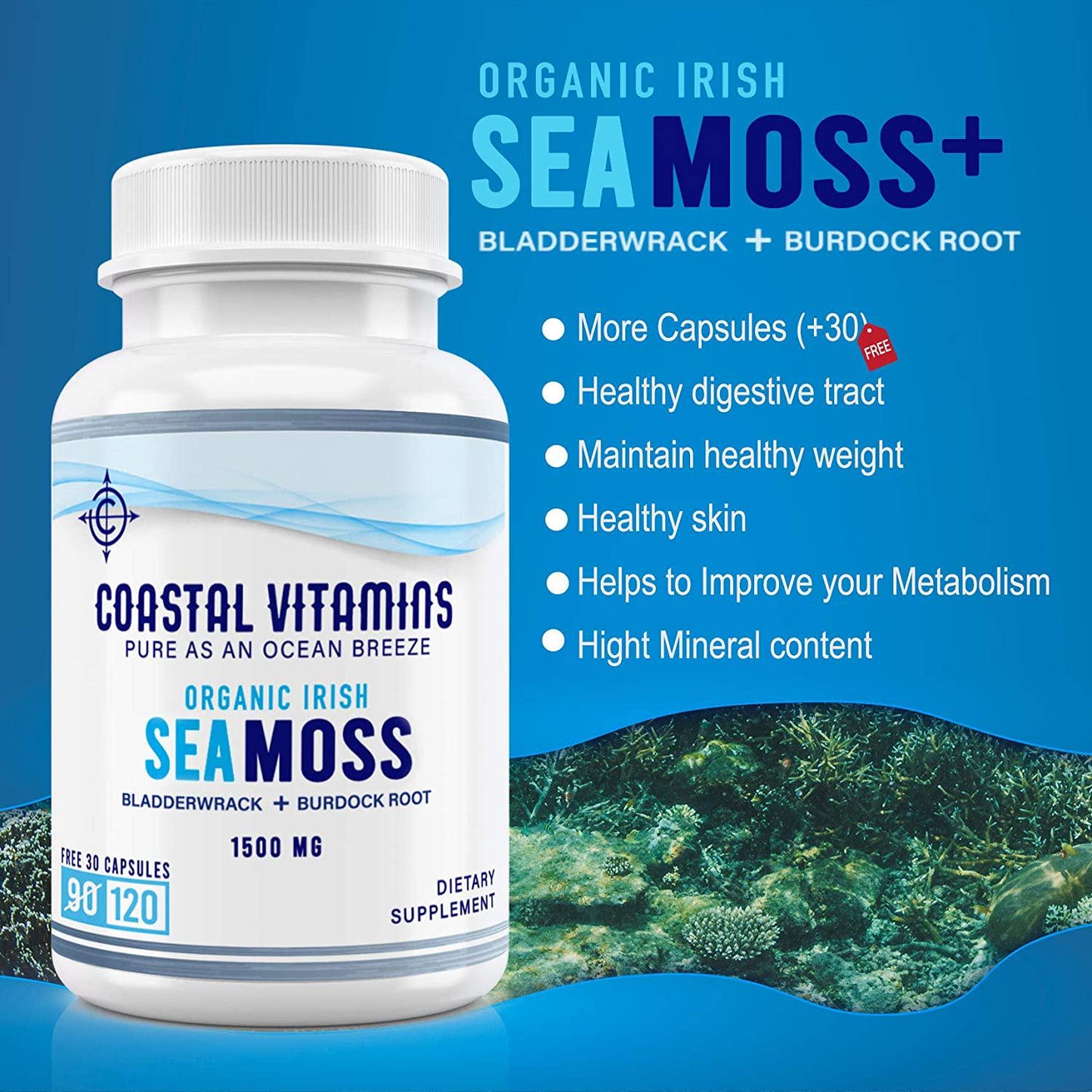 2 PK Wildcrafted Organic Irish Sea Moss Bladderwrack and Burdock Root 240CT Non-GMO, Vegan, No Fillers