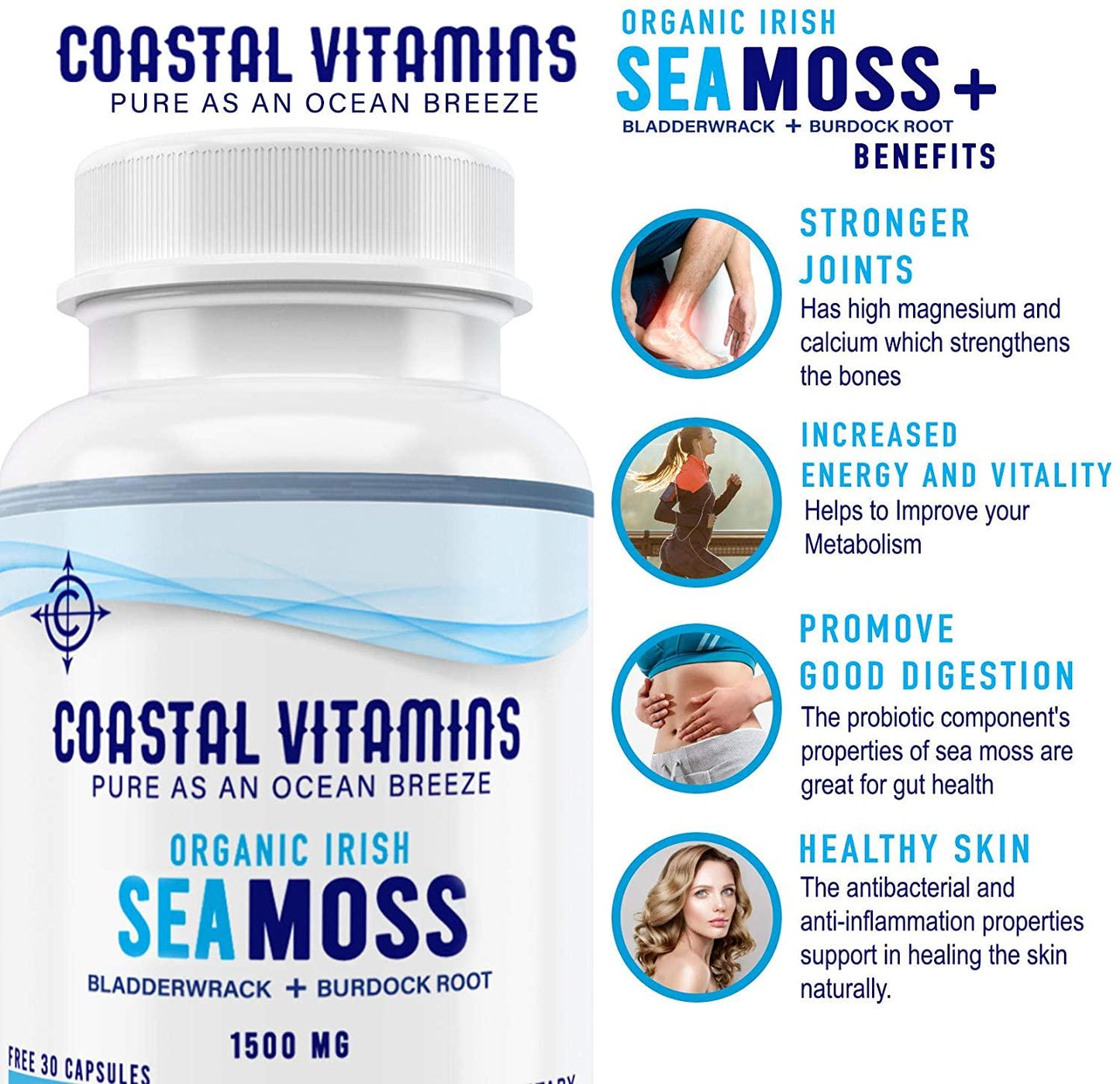 2 PK Wildcrafted Organic Irish Sea Moss Bladderwrack and Burdock Root 240CT Non-GMO, Vegan, No Fillers