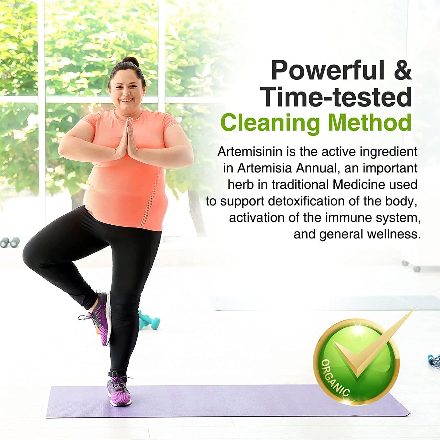 2 Pack Artemisinin 600mg, 120 Vegan Sweet Wormwood Extract Capsules Support Healthy Aging, Improve Immune Function Digestive Promote Cell Repair, Non-GMO