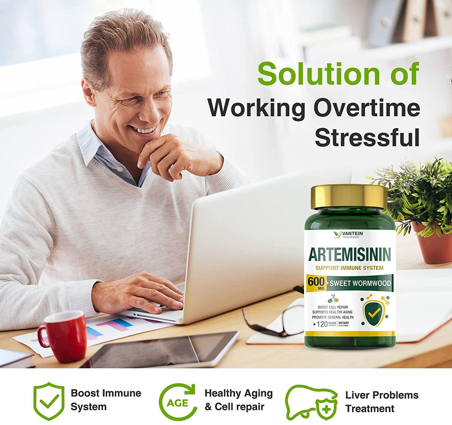 2 Pack Artemisinin 600mg, 120 Vegan Sweet Wormwood Extract Capsules Support Healthy Aging, Improve Immune Function Digestive Promote Cell Repair, Non-GMO