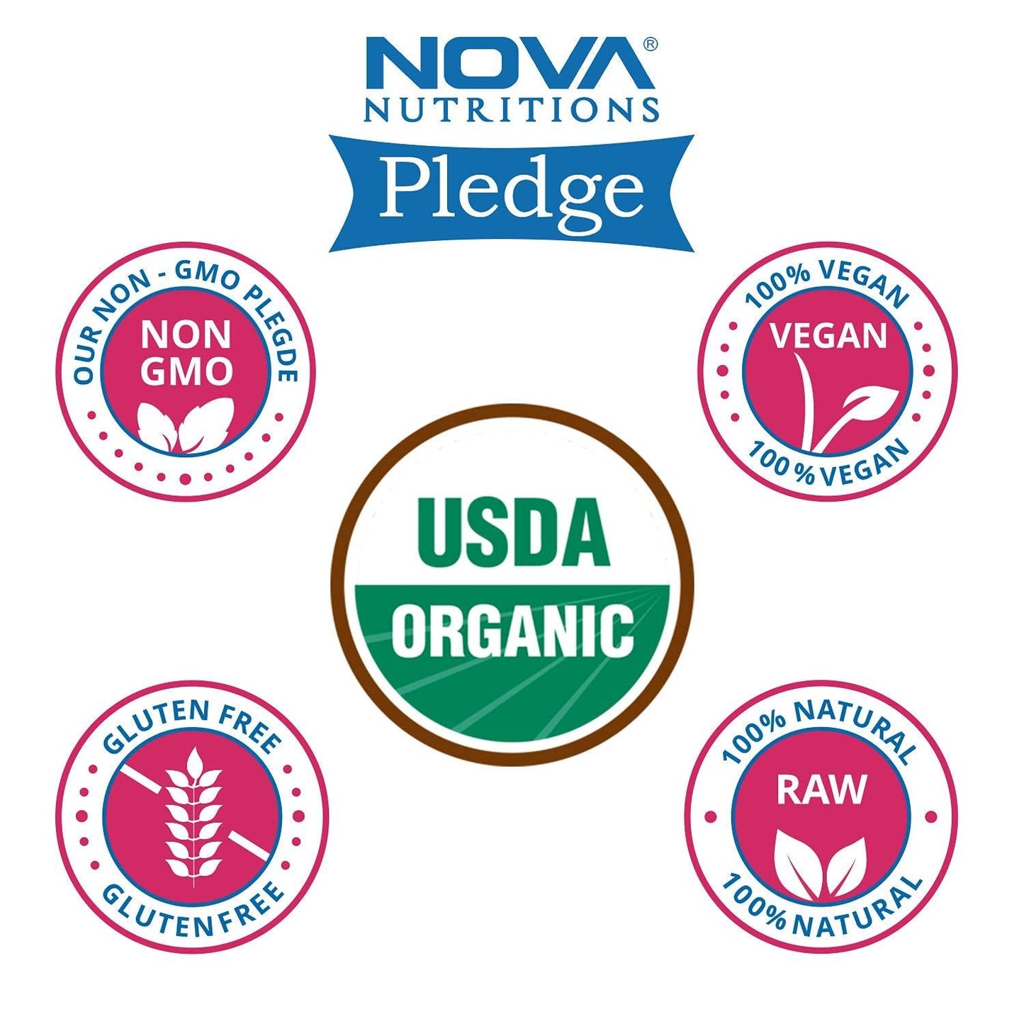 2 Pack - Nova Nutritions Certified Organic Beet Root Powder 16 OZ (454 gm) - Nitric Oxide Booster - Boost Stamina and Increases Energy (Total 32 OZ)