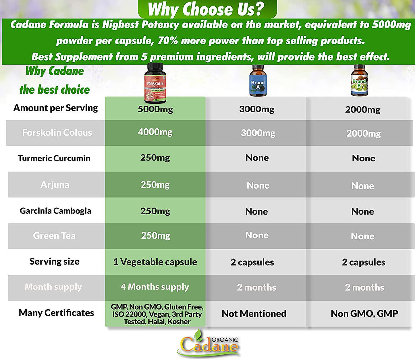 2 Packs Organic Forskolin Extract Capsules 5000mg and Turmeric Curcumin, Arjuna, Garcinia Cambogia, Green Tea