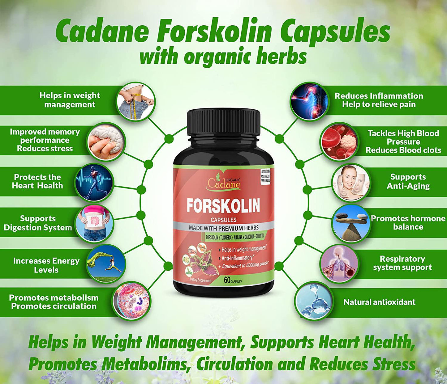 2 Packs Organic Forskolin Extract Capsules 5000mg and Turmeric Curcumin, Arjuna, Garcinia Cambogia, Green Tea