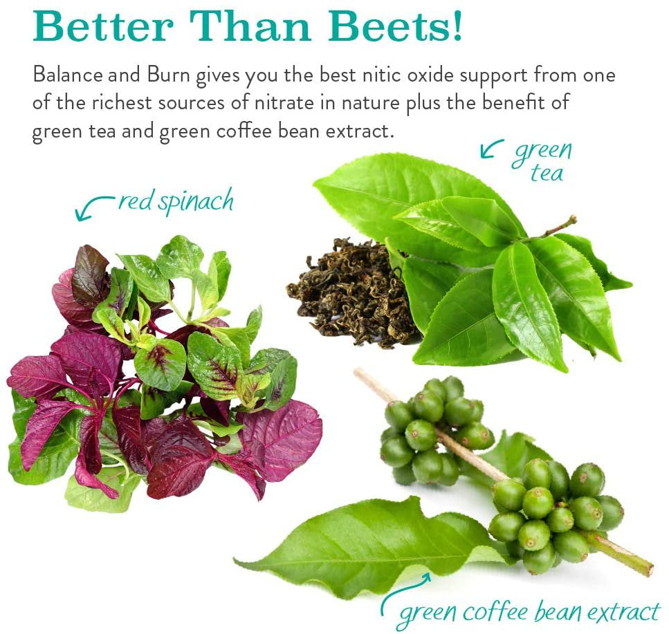 Balance & Burn All-Natural Nitric Oxide Booster Supplement for Men and Women Food-Based, Red & Green Coffee Bean Extract, 120 Capsules by NWC Naturals