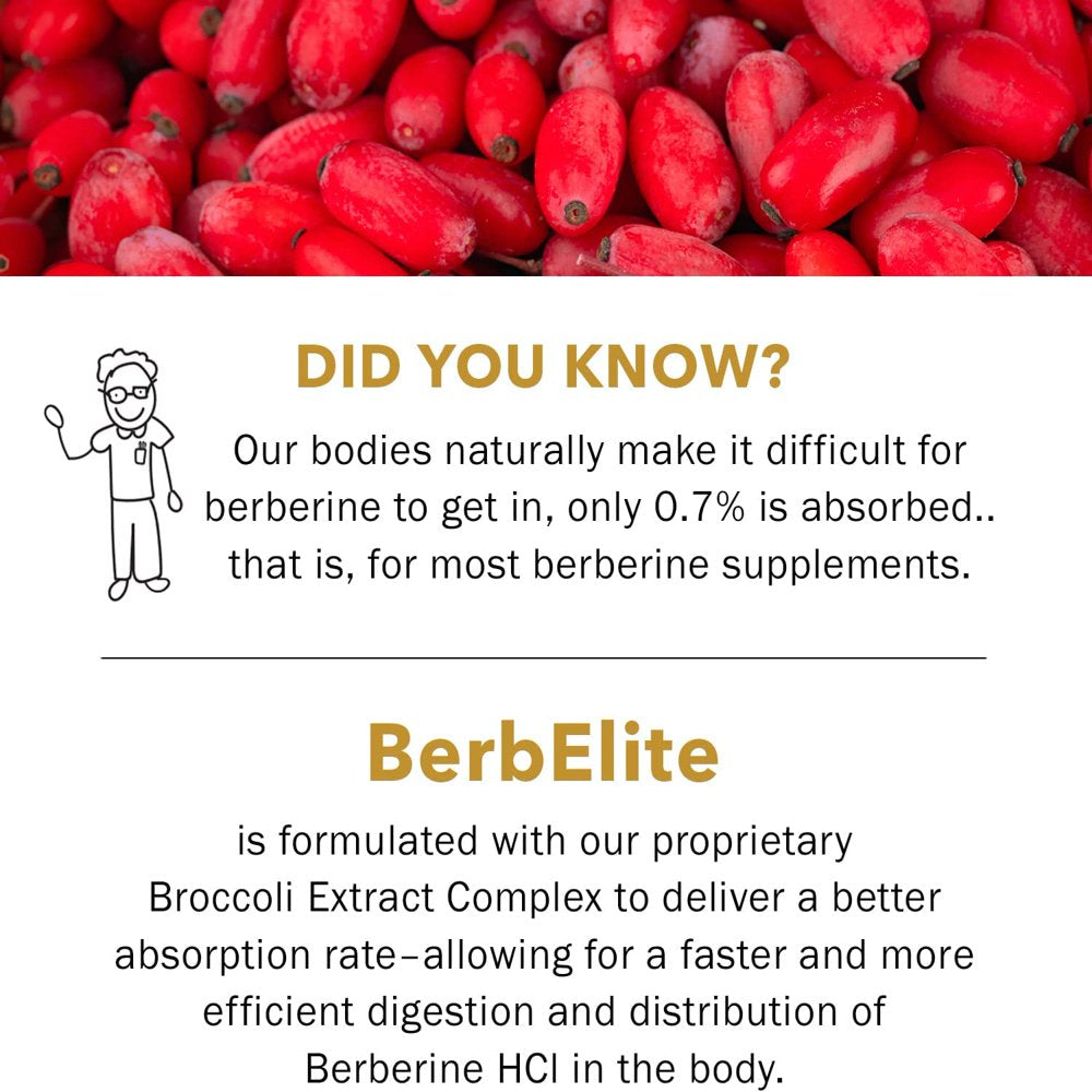 Berbelite Berberine Supplement (60Ct) Berberine for Immune Support, Gut Health & Mood Support Mara-Labs