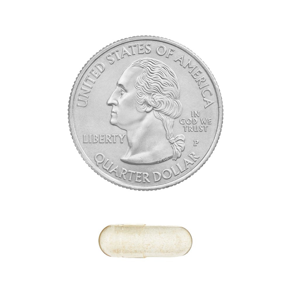 Equate Gas Relief and Prevention Food Enzyme Dietary Supplement, 100 Count