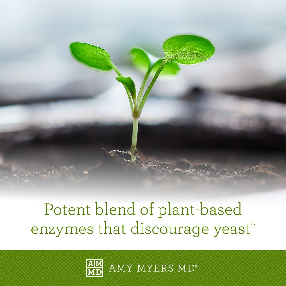 Amy Myers MD Candifense Candida Cleanse - anti Overgrowth and Yeast Supplement - Herb Free Plant Based Enzymes - Supports Digestion & Gut Health - Amylase, Cellulase, Xylanase, Invertase - 120 Caps