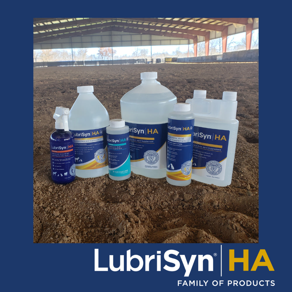 Lubrisyn HA Original Unflavored Liquid Joint Supplement Made in USA for Human Use: Proprietary Vegan Formula to Promote Joint Health and Advanced Support for Optimal Joint Health - 30 Day Supply