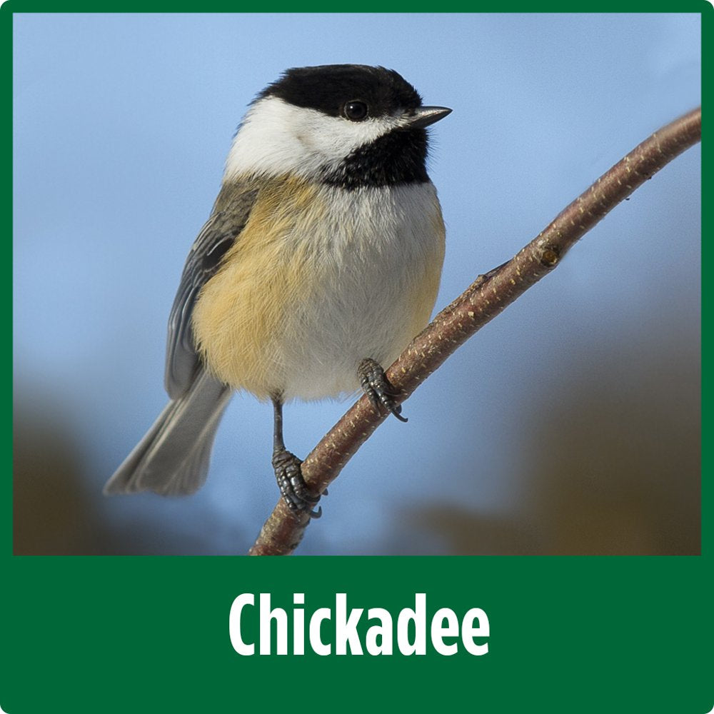 Farmhouse Wren House