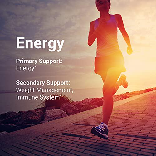 4Life Energy Go Stix - Healthy Energy Source - Berry Drink Mix - Contains Natural Caffeine from Guarana, Maca, Yerba Mate, and Green Tea Leaf Extract - 30 Packets