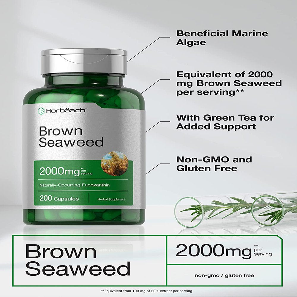 Brown Seaweed Extract Capsules 2000Mg | 200 Pills | by Horbaach