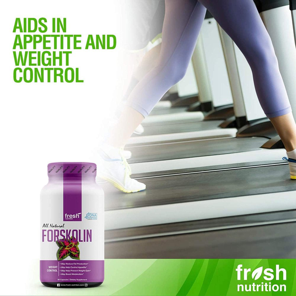Fresh Nutrition Forskolin Supplement - Strongest DNA Verified - Belly Fat Burner 90 Caps