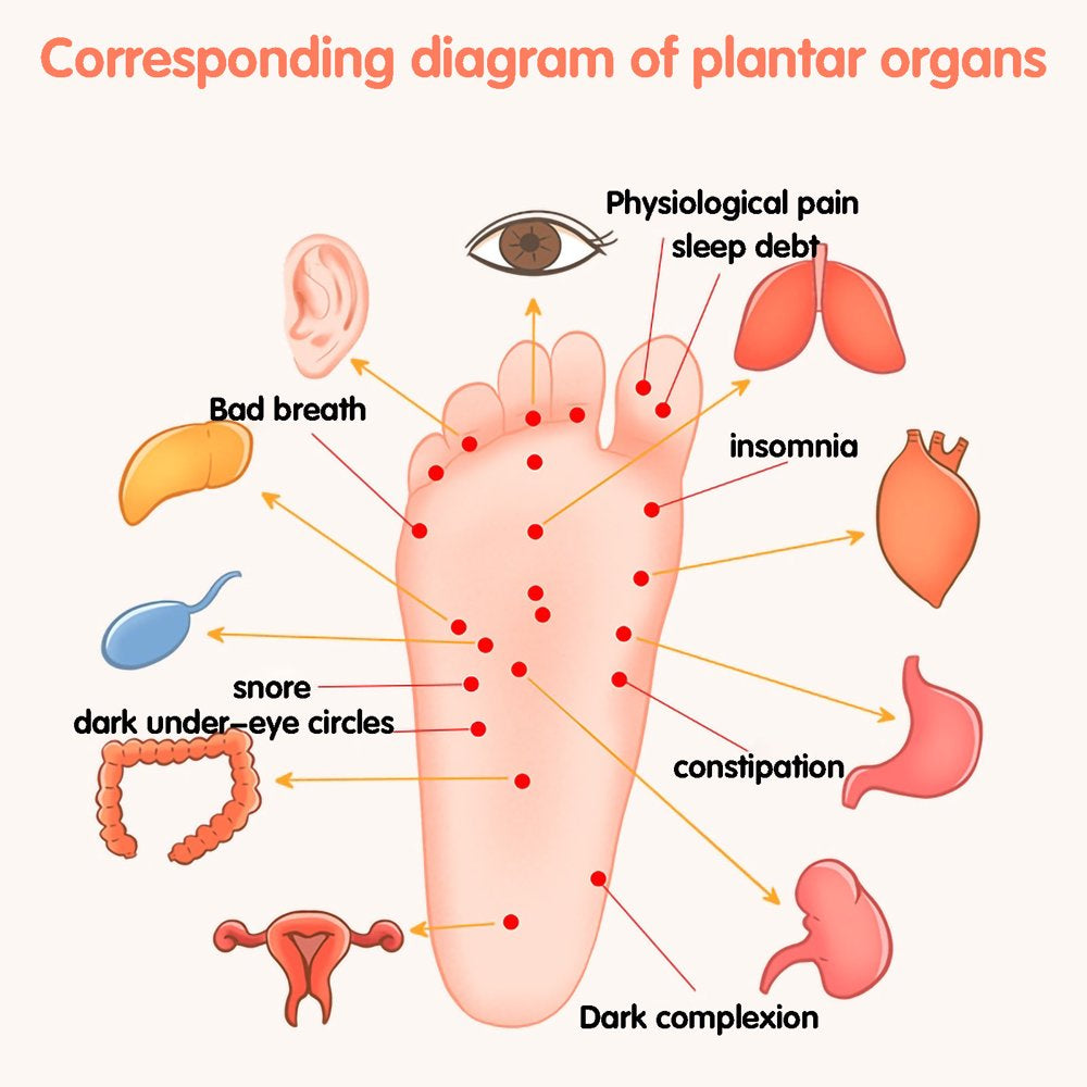 Chamoist Foot Massager for Neuropathy,Foot Massager Spinning Points Acupressure and Stimulation Foot Massage Device