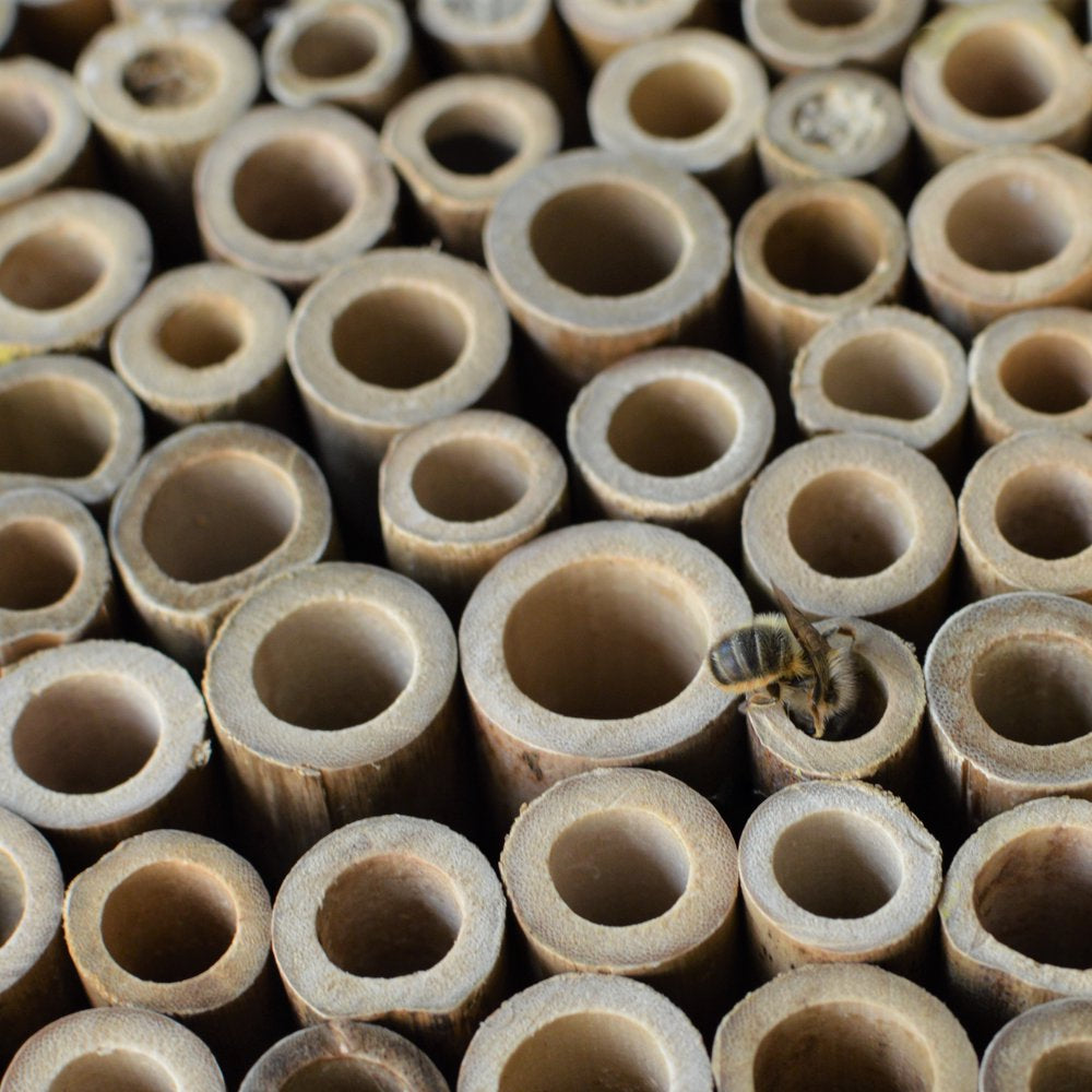 Better Gardens Wood Bee Barn, Brown