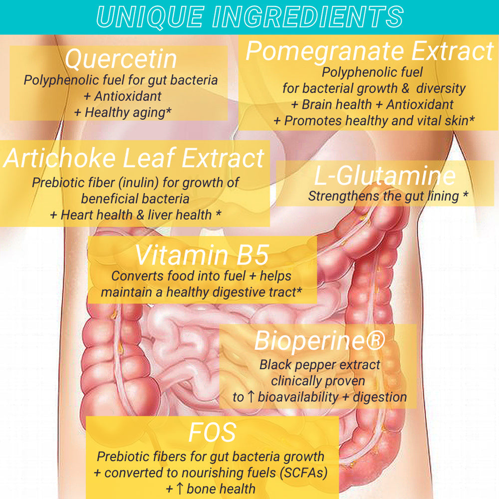 Mypeak Peakbiotic: Vegan Probiotic + Prebiotic Gut Health Blend. 50 Billion CFU + 14 Vegan Strains, 2-Month Supply for Digestion, Anti-Aging, Skin Care and Mood. W/Polyphenols, Quercetin, Pomegranate