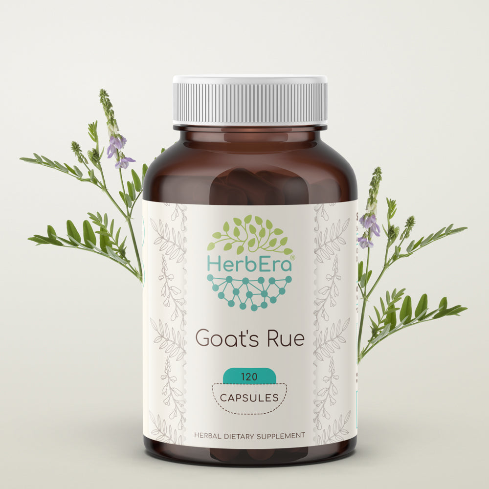 Goat'S Rue 120 Capsules, 500 Mg, Organic Goat'S Rue (Galega Officinalis) Dried Herb