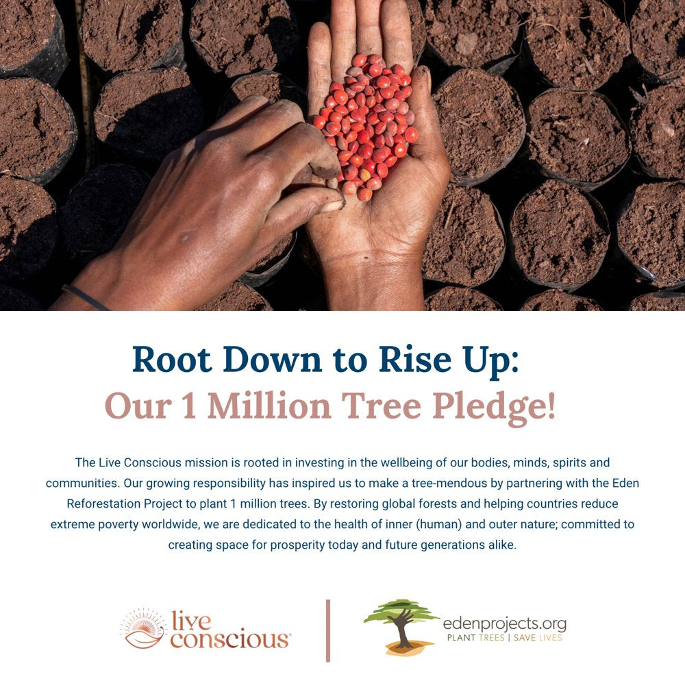 Live Conscious Vegan B12 Sublingual Drops, 5000 Mcg, 60 Servings