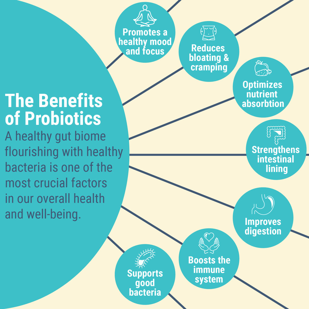 Mypeak Peakbiotic: Vegan Probiotic + Prebiotic Gut Health Blend. 50 Billion CFU + 14 Vegan Strains, 2-Month Supply for Digestion, Anti-Aging, Skin Care and Mood. W/Polyphenols, Quercetin, Pomegranate