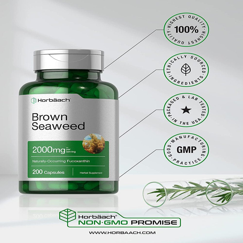 Brown Seaweed Extract Capsules 2000Mg | 200 Pills | by Horbaach