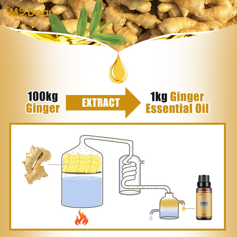Dearbeauty Ginger Oil,100% Pure Ginger Oil for Weight Loss Belly Fat,Lymphatic Drainage Ginger Oil for Swelling