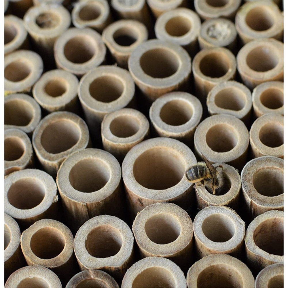 Better Garden Wood Farmhouse Bee Barn, White