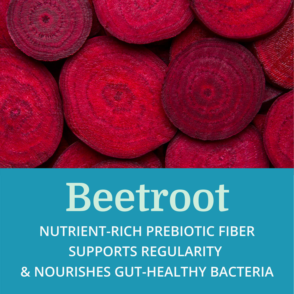 Alkadophilus — Morter Healthsystem Best Process Alkaline — No Refrigeration Probiotic & Prebiotic Digestive Supplement — 1.5 Billion CFU of Good Bacteria & Beetroot — Boosts Digestion, Mood & Vitality