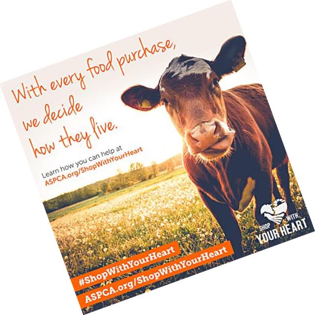 AGN Roots Grassfed Whey Protein | Certified Brand List ASPCA | Certified Entire Life On Pasture Grass Fed | Unflavored | Informed Choice and Sport | Sustainably Farmed | Certified by A Greener World