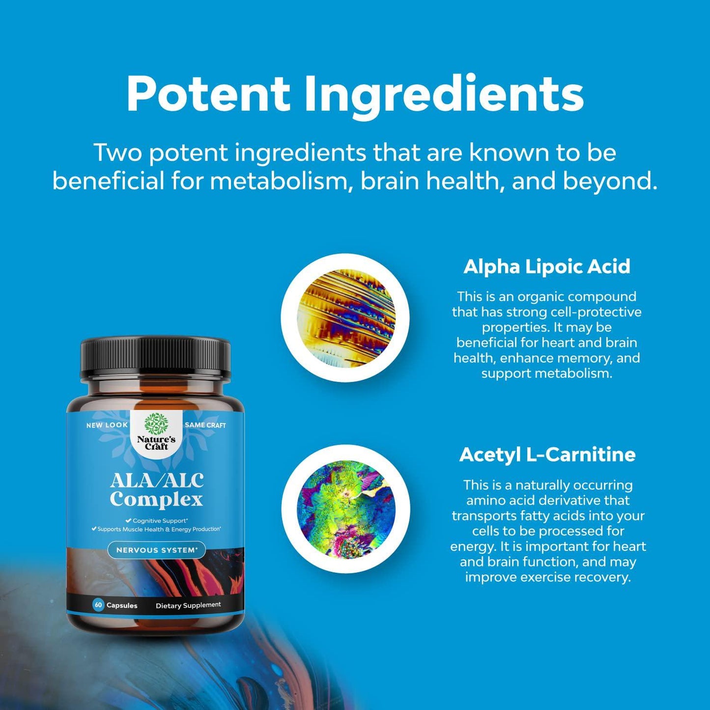 ALC and Alpha Lipoic Acid Supplements - Acetyl l-carnitine Alpha Lipoic Acid Antioxidant Supplement - Essential Fatty Acids for Skin Care Health AMPK Activator and Metabolism Booster for Weight Loss