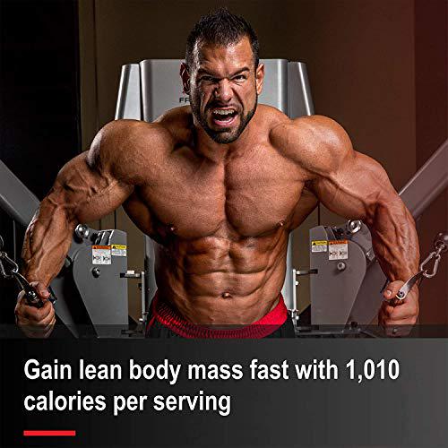 ALLMAX Nutrition QuickMass Rapid Mass Gain Catalyst, Vanilla, 12 lbs