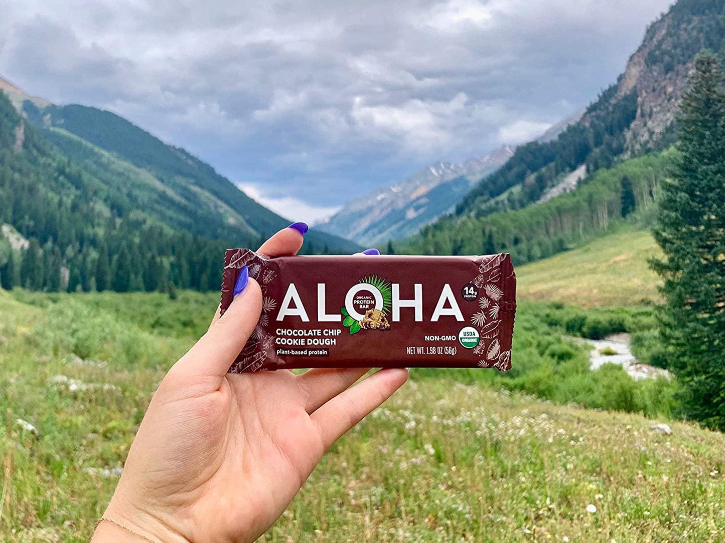 ALOHA Organic Plant Based Protein Bars |Chocolate Chip Cookie Dough Vegan, Low Sugar, Gluten Free, Paleo, Low Carb, Non-GMO, Stevia Free, Soy Free (12 Count of 1.98 oz Bars), 23.76 oz