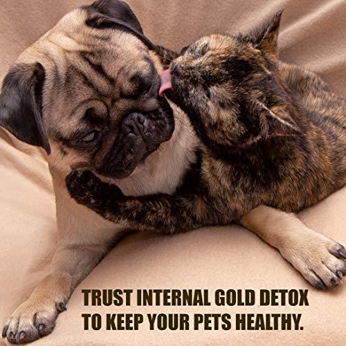 AMBER NATURALZ - Internal Gold Detox KIT - Powerful and Gentle Cleanse and Rejuvenation - for Dogz and Catz