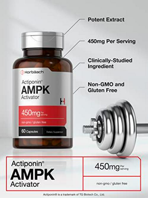 AMPK Metabolic Activator 450 mg | 60 Capsules | Supports Weight Management | Non-GMO, Gluten Free | Jiaogulan Gynostemma | Horbaach