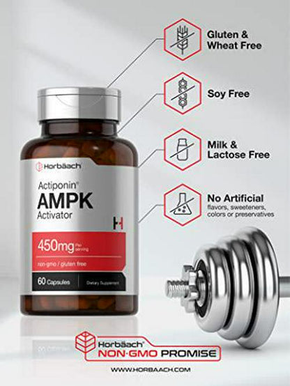 AMPK Metabolic Activator 450 mg | 60 Capsules | Supports Weight Management | Non-GMO, Gluten Free | Jiaogulan Gynostemma | Horbaach