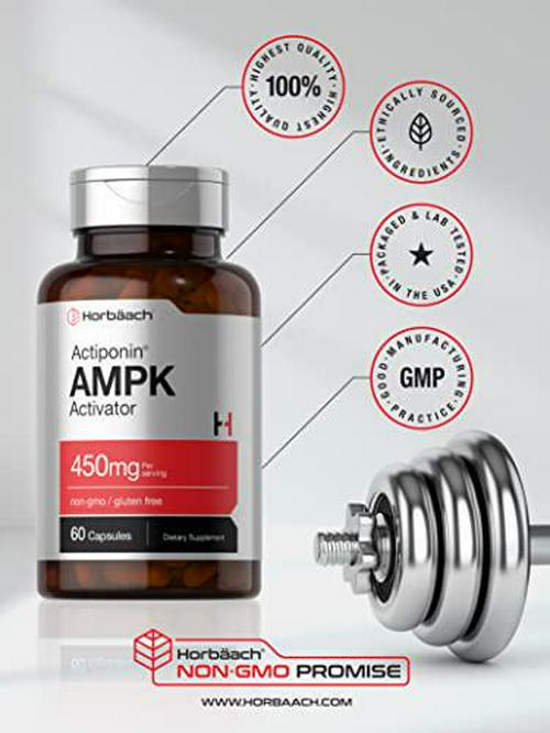 AMPK Metabolic Activator 450 mg | 60 Capsules | Supports Weight Management | Non-GMO, Gluten Free | Jiaogulan Gynostemma | Horbaach