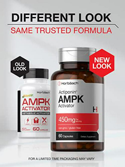 AMPK Metabolic Activator 450 mg | 60 Capsules | Supports Weight Management | Non-GMO, Gluten Free | Jiaogulan Gynostemma | Horbaach