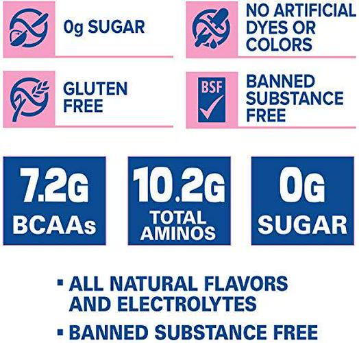 ANS Performance Quench BCAA (30 Servings, 13.2 oz) Post Workout Recovery Powder Supplement - Sugar Free, Vegan Fermented 2:1:1 BCAAs | Branched Chain Amino Acids | Natural Electrolytes and Minerals