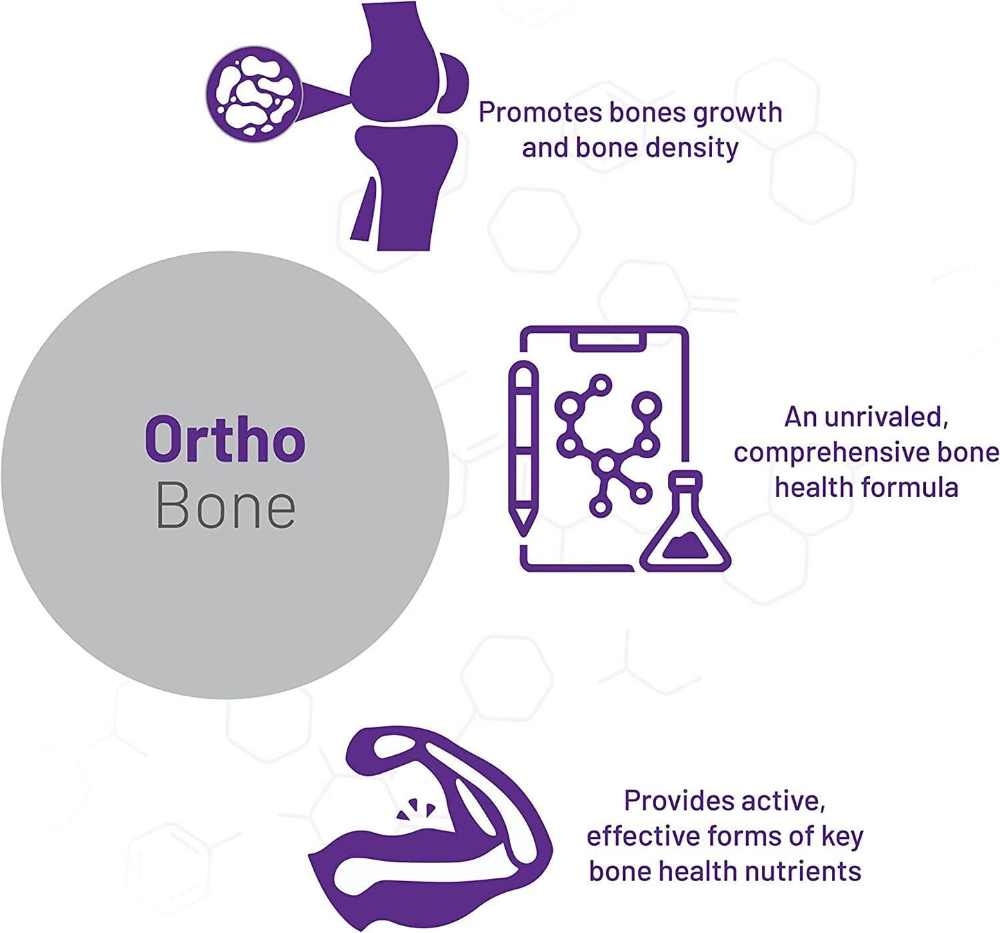 AOR, Ortho Bone, Nutritional Support for Foundational Health and Energy, Multivitamin and Mineral Supplement, 30 Servings (300 Capsules)