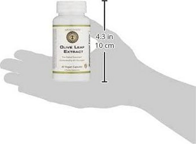 APOLLO SUN Olive Leaf Extract Capsules 500mg | Vegan Olive Leaf Extract Super Strength | 6% Oleuropein | Immunity Support, Cardiovascular Health and Blood Pressure Supplement | 60 Veg Capsules