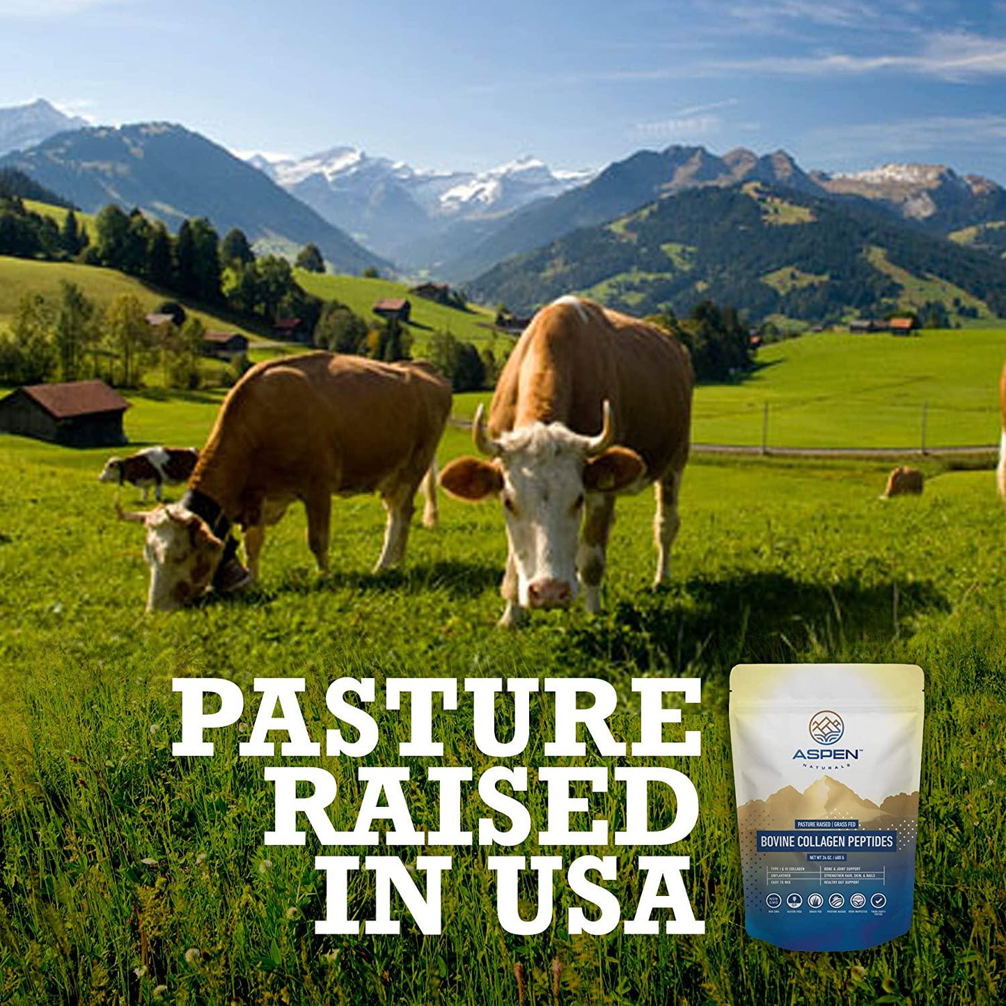 ASPEN NATURALS Grass Fed Bovine Collagen Peptides Powder - USA Sourced from USDA Inspected Cattle, Gluten Free, Paleo Friendly, Water Soluble, Flavorless, Easily Mixes into Liquids - 5LB