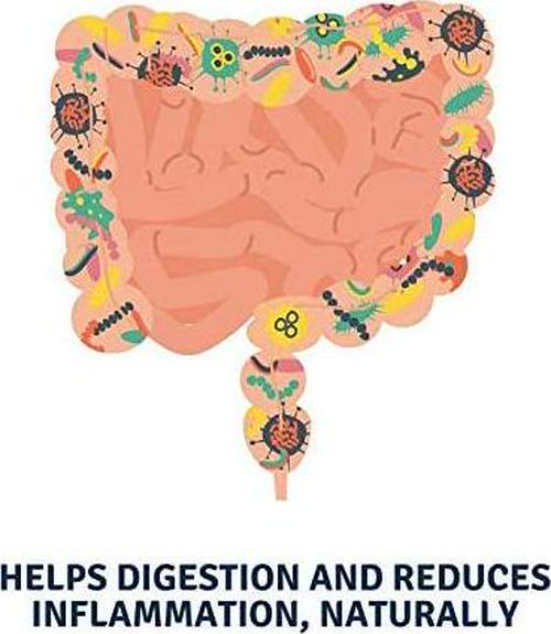 ATP Science Resilience Immune System Booster Vitamin C Supplement and Health Protector, Anti-Inflammatory and Intestinal Balance Support, Stomach-Friendly, All 100% Natural and Vegan Ingredients, Non-GMO