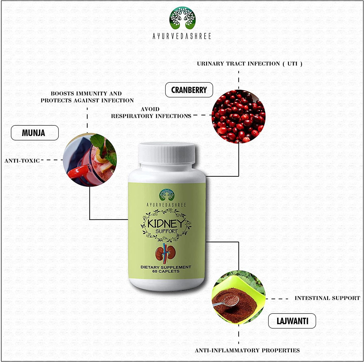 AYURVEDASHREE Kidney Support Herbal Supplement - Detoxify and Rejuvenate, Supports Healthy Kidney Function, Vegan, Gluten-Free, Kosher, GMP Certified, USDA Organic Certified - Each Caplet of 1000 MG