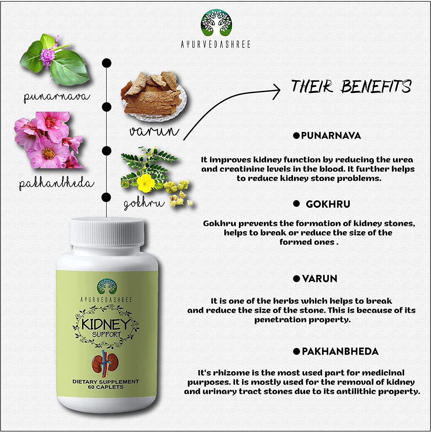 AYURVEDASHREE Kidney Support Herbal Supplement - Detoxify and Rejuvenate, Supports Healthy Kidney Function, Vegan, Gluten-Free, Kosher, GMP Certified, USDA Organic Certified - Each Caplet of 1000 MG