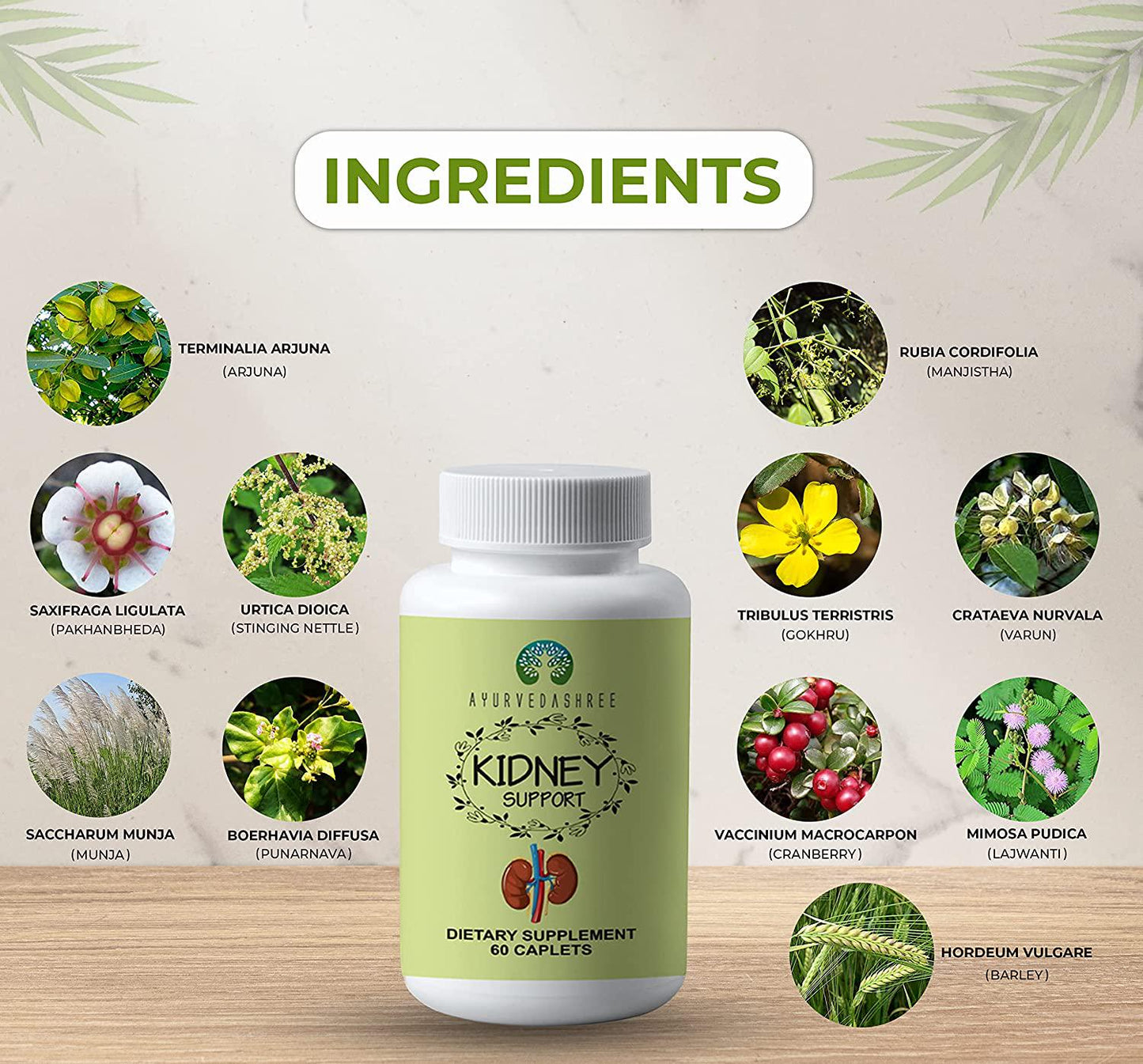 AYURVEDASHREE Kidney Support Herbal Supplement - Detoxify and Rejuvenate, Supports Healthy Kidney Function, Vegan, Gluten-Free, Kosher, GMP Certified, USDA Organic Certified - Each Caplet of 1000 MG