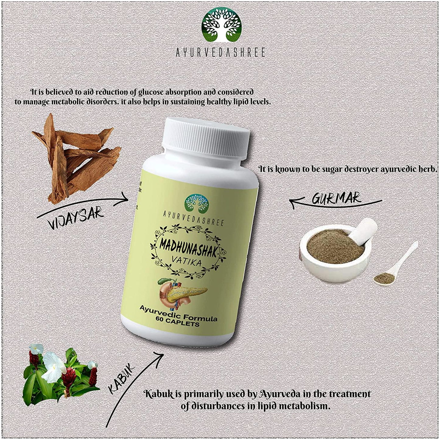 AYURVEDASHREE Madhunashak Vatika 60 Caplets | Each Caplet Contains 1000 MG Extract of Natural Herbs | an Ayurvedic Formula