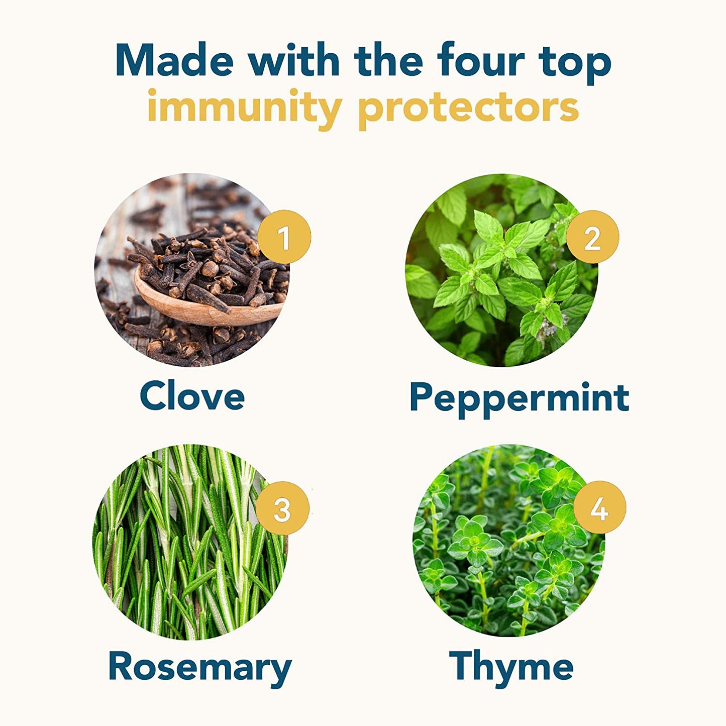 Activation Products Solaris Natural Immune Support Supplement Potent Botanical Extracts Plant Sterol Extracts Cleanse and Restore Gut Health 15ml, 0.5oz