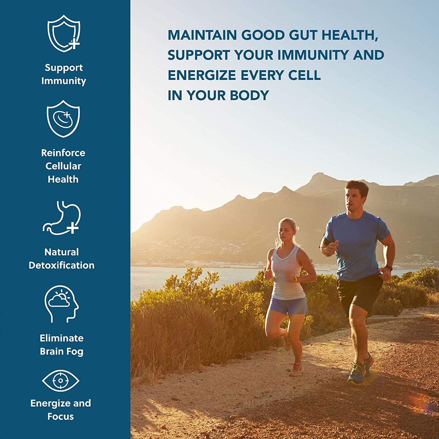 Activation Products Solaris Natural Immune Support Supplement Potent Botanical Extracts Plant Sterol Extracts Cleanse and Restore Gut Health 15ml, 0.5oz