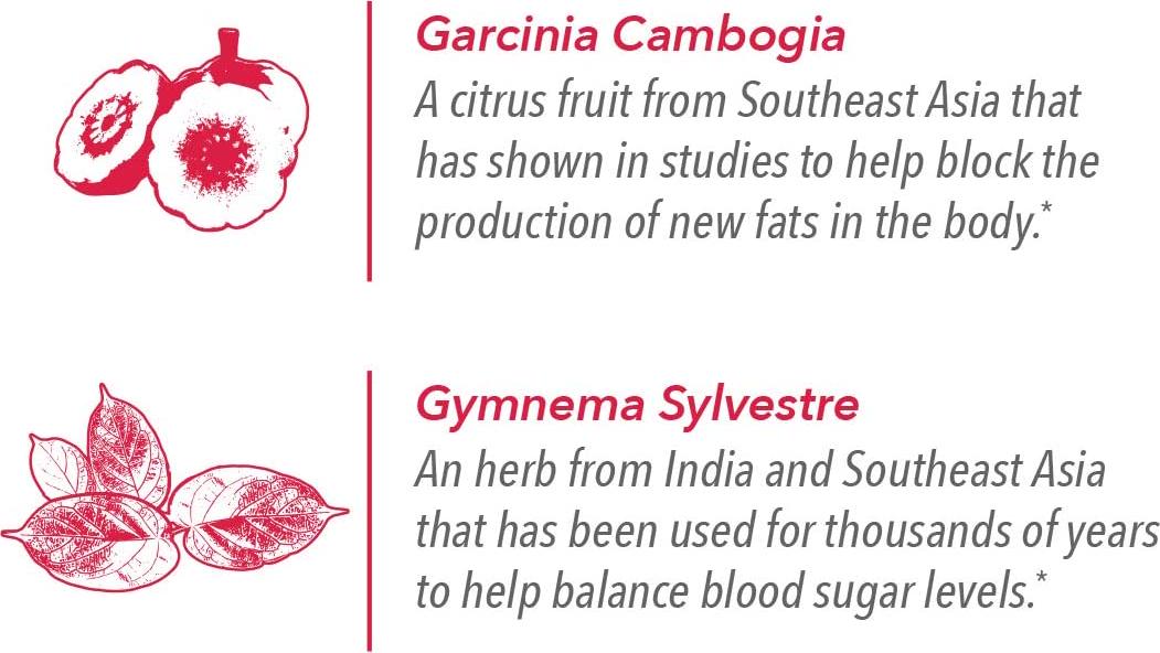 ActiveBlendz Control w The Herbs, Super Citrimax (Garcinia Cambogia), Gymnema Sylvestre, for Weight Management, Appetite Control and Balance Sugar Levels, Natural Instant Fruit Beverage 24 ct, Javita