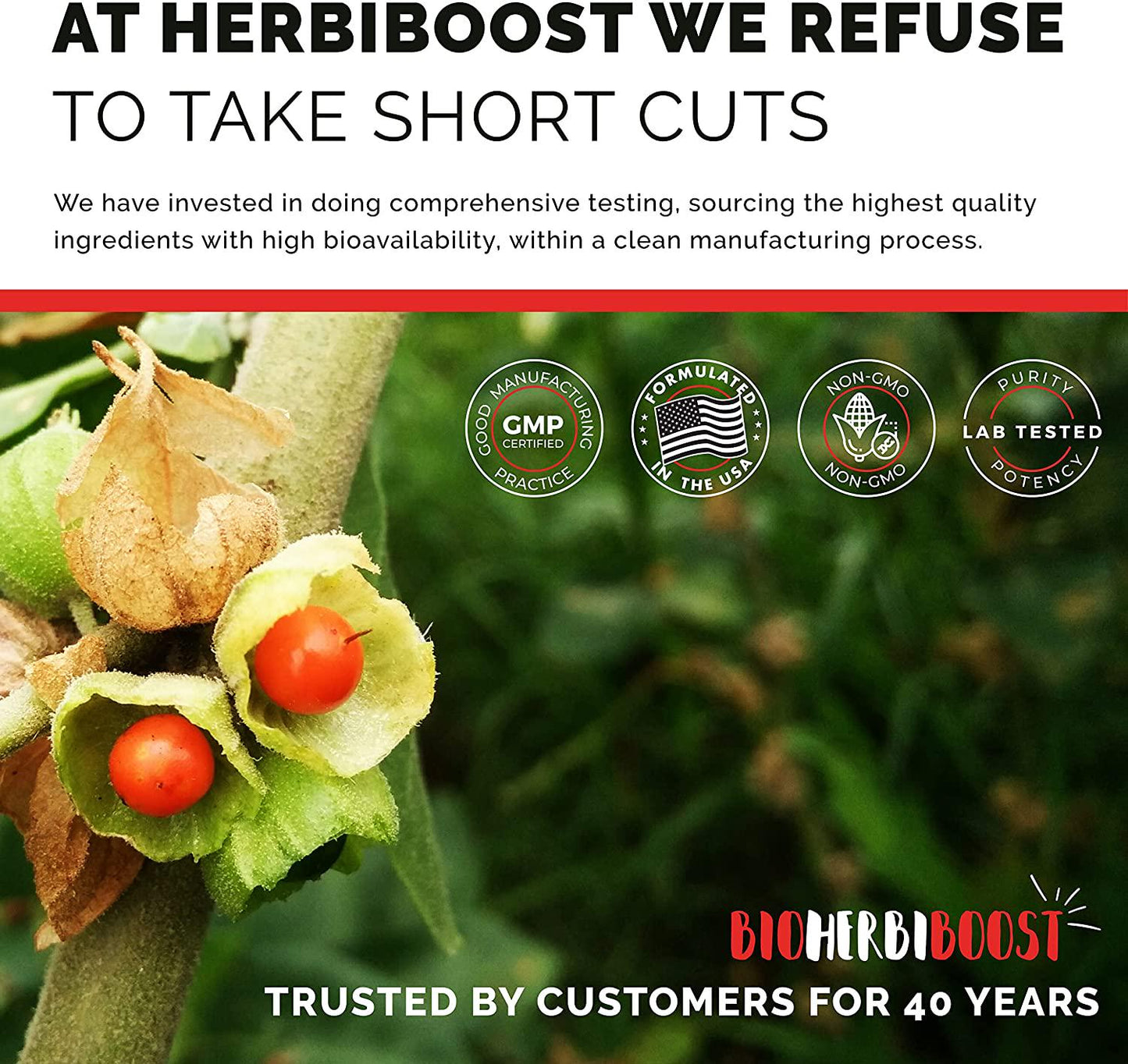 Adrenal Support Supplements and Cortisol Manager ǀ 1300mg ǀ 100% Pure Anxiety, Stress Relief Energy Pills for Adrenal and Thyroid Health, Metabolism, Focus and Immune Boost with Ashwagandha and Adaptogens