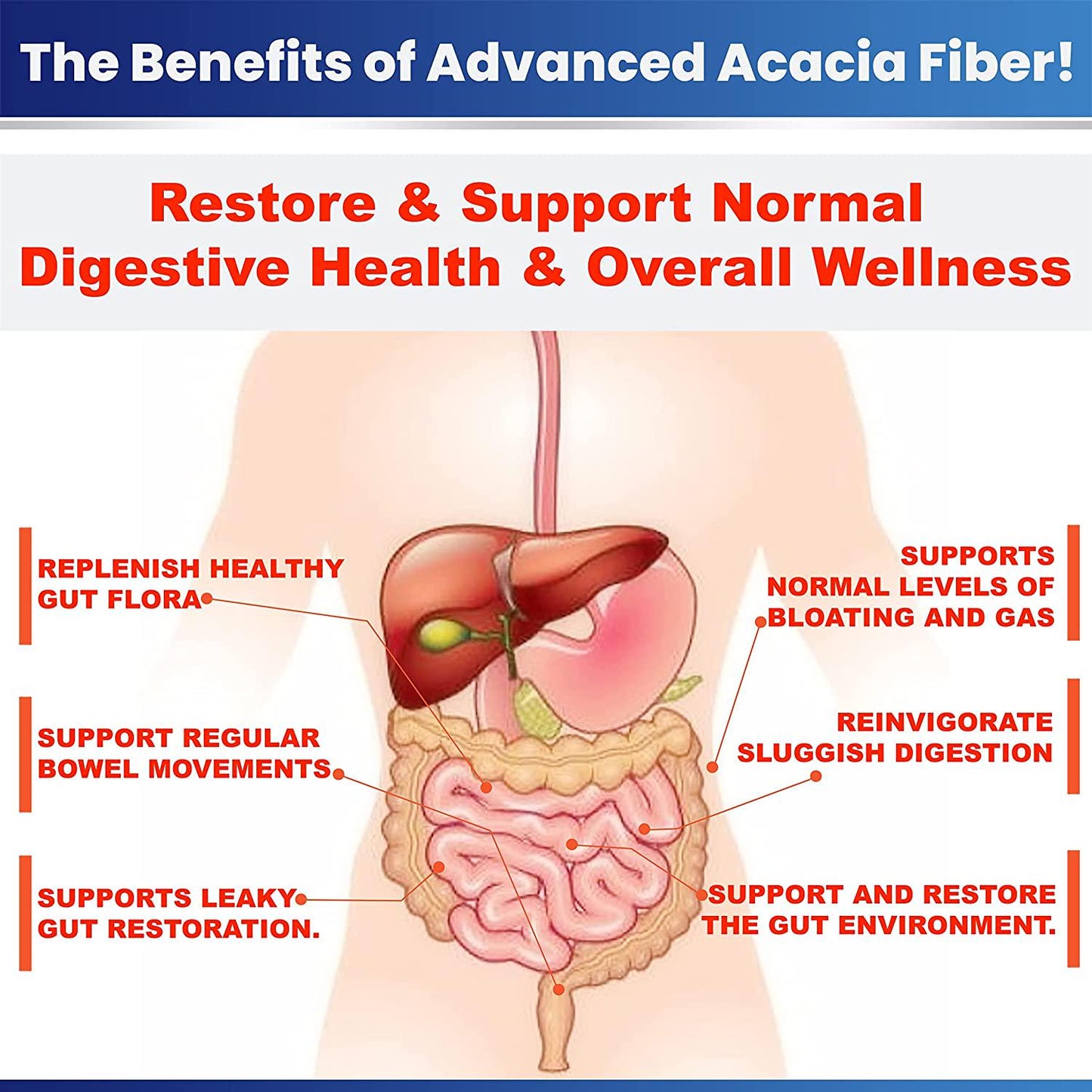 Advanced Acacia Fiber Powder 2.5 Ibs (40oz) Soluble Fiber Leaky Gut Repair Powder. Organic Fiber Supplement Powder for Gut Health