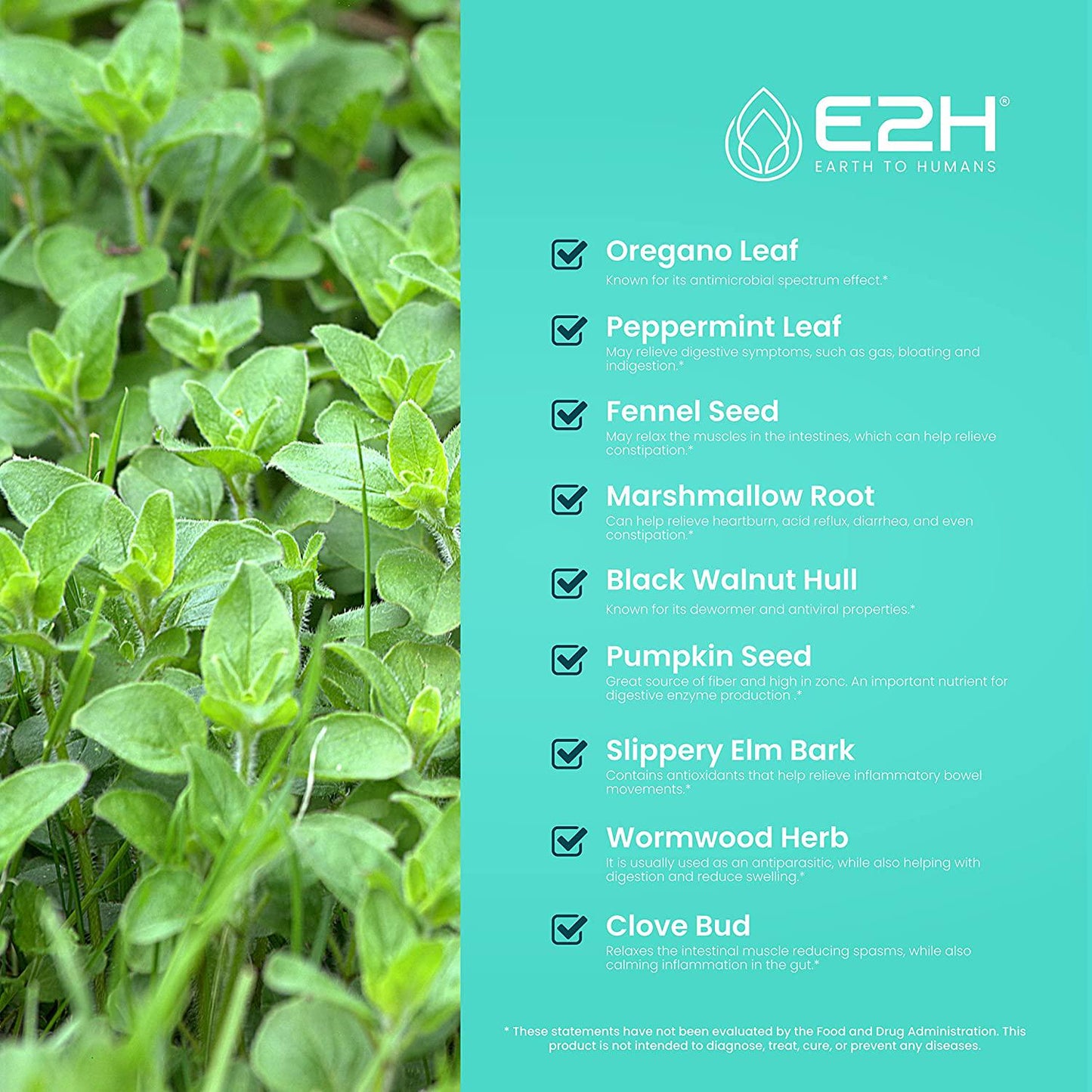 Advanced Intestinal Support - All-Natural Intestinal Cleanse and Propietary Digestive Supplement - Contains Wormwood and Black Walnut Extract and More | Non-GMO, Vegan | 48 Servings (2 Bottles)